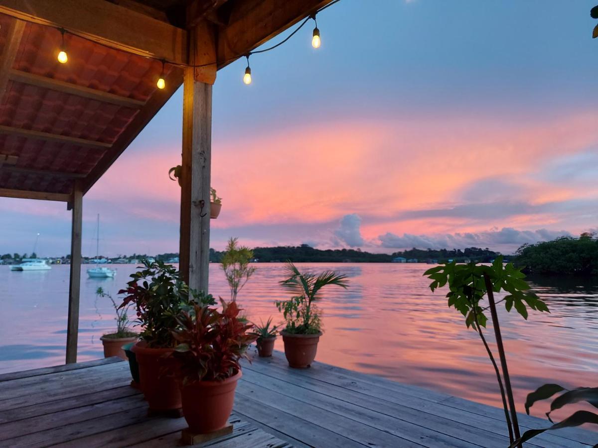 The Sunsetter Bed & Breakfast 博卡斯德尔托罗 外观 照片
