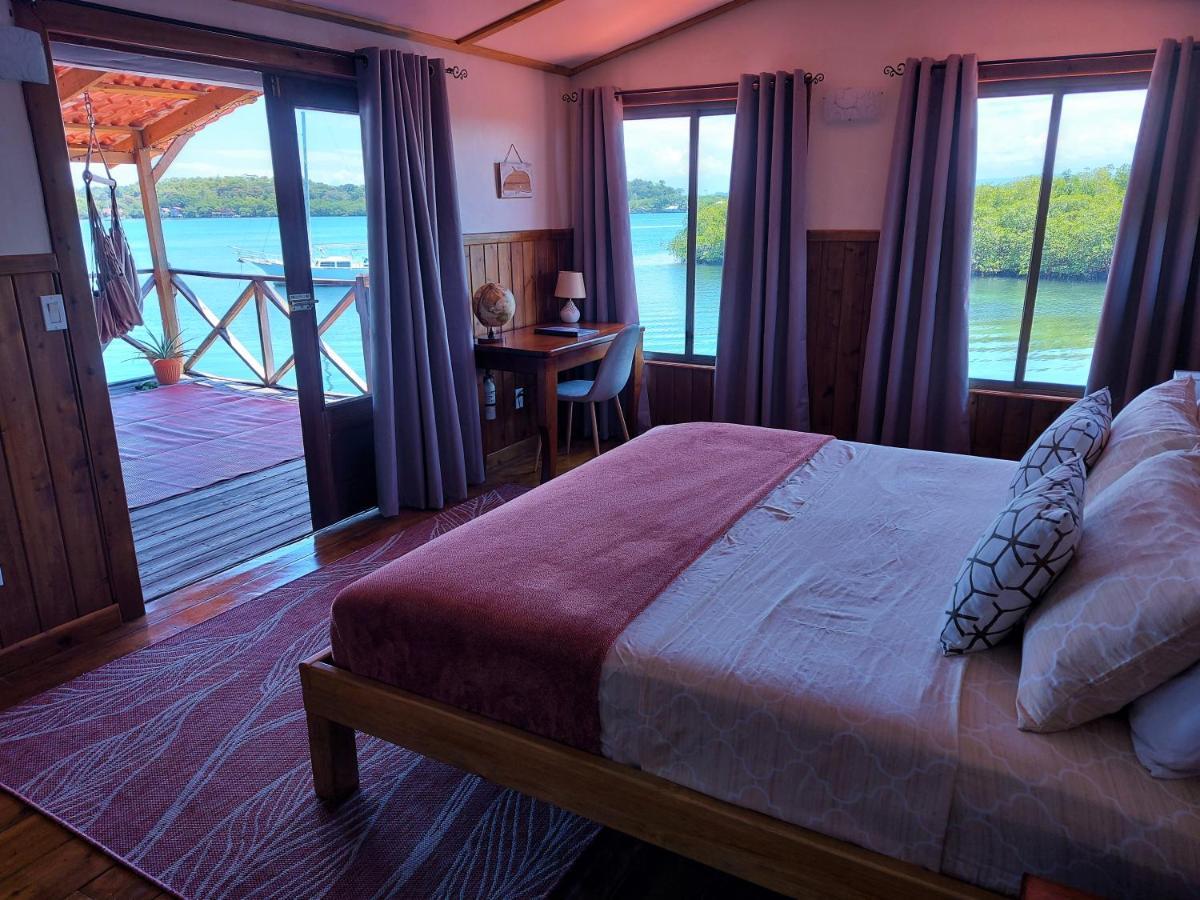 The Sunsetter Bed & Breakfast 博卡斯德尔托罗 外观 照片